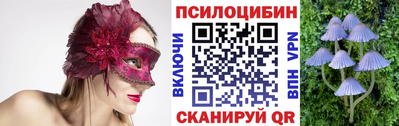Псилоцибиновые грибы GOLDEN TEACHER  купить наркотики сайты  Прокопьевск 