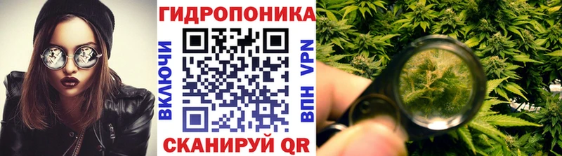 Каннабис VHQ  наркошоп  Прокопьевск 